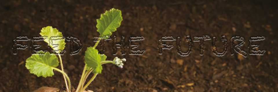 Une recherche et développement permanente à travers des fertilisants respectueux de la nature dont les marques sont déposées à l’OAPI (Organisation Africaine de la Propriété Intellectuelle).